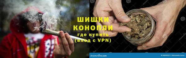 шишки Алексеевка