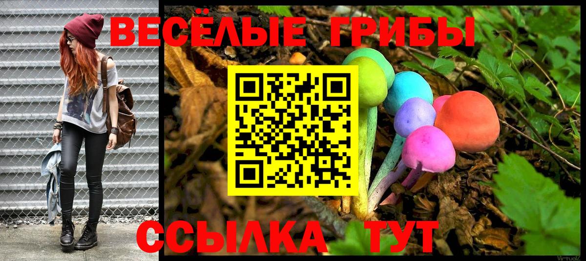 Галлюциногенные грибы Cubensis  Вход с VPN  Шатура 